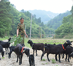 妹妹福利院普通用户