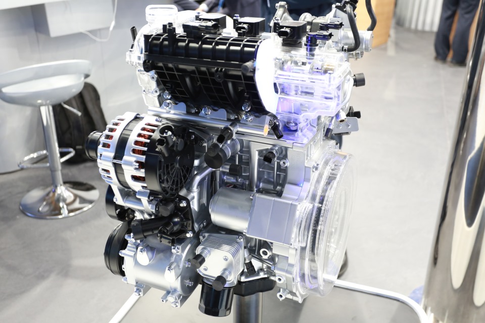 妹妹福利院普通用户