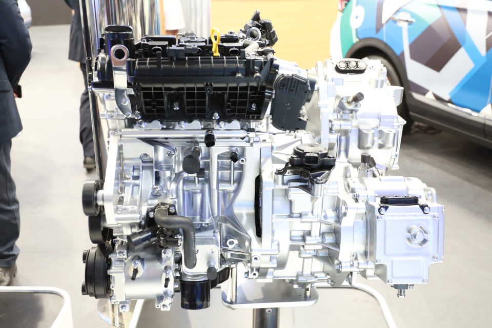 妹妹福利院普通用户