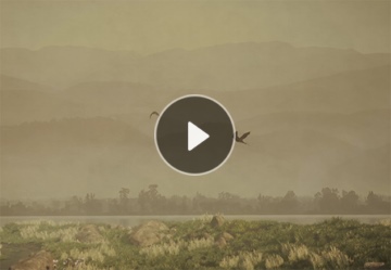 妹妹福利院普通用户