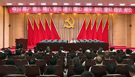 妹妹福利院普通用户